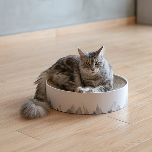 Pidan Valley Scratch Lounger - Poudre Pet & Feed Supply 2